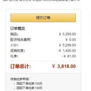 Blueair 布鲁雅尔 510B 空气净化器