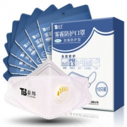 云南白药 泰邦口罩 PM2.5防护型 10只/盒
