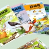 《森林报》春夏秋冬系列全4册