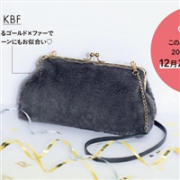 SPRiNG 2月刊 随刊附赠 KBF 高级感 毛绒链条包