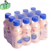 椰汁岛 乳酸菌饮品 340mlx12瓶