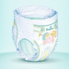 Pampers 帮宝适超薄干爽拉拉裤XL