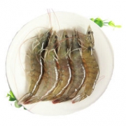 TOUSH’S 拓食 生冻泰国南美白对虾 1kg *2件 +凑单品