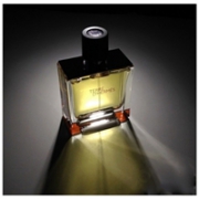 Hermes 爱马仕Terre D'Hermes 大地中性男士淡香水 100ml