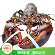 Gfresh/极鲜网 加拿大鲜活大龙虾  450g-550g 1只 *2件