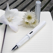 超值特惠装！LAMY safari 狩猎者 F尖钢笔 加百列白+黑色墨芯5支/盒