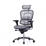 Ergonor 保友办公家具 人体工学电脑椅 金豪标准版