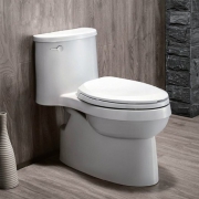 科勒（KOHLER） 艾黛儿  K-5171T/4983T-C-0 五级旋风马桶坐便器