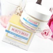 镇店之宝！BURT 'S BEES小蜜蜂深层补水保湿晚霜50g
