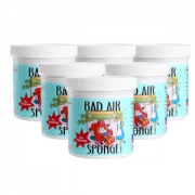 BAD AIR SPONGE 空气净化剂 400g