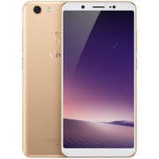20点开始： vivo Y79  4GB+64GB 全网通4G手机  香槟金