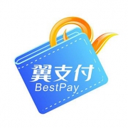 翼支付5折特惠最高优惠20元