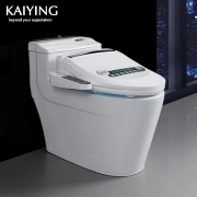 凯鹰 8817 一体即热式坐便器