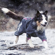 Hurtta 专业户外狗狗雨衣
