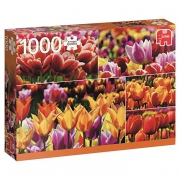 Jumbo  拼图 18364 荷兰的郁金香 1000片