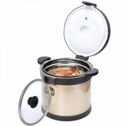 TAFUCO泰福高 焖烧锅T-2660香槟金色4.5L
