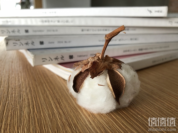 Sony 索尼迷你黑卡RX0便携数码相机样张欣赏