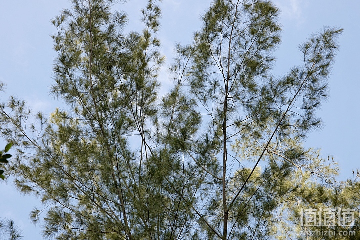 Leica 徕卡 CL 微单相机开箱