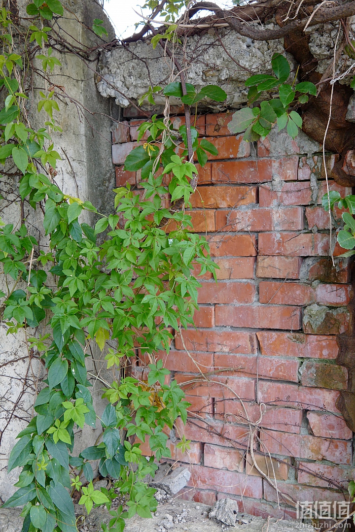 Leica 徕卡 CL 微单相机开箱