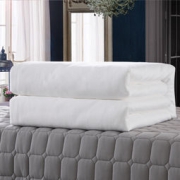 太湖雪 100%桑蚕丝加厚冬被 白色 蚕丝净重6斤 220*240cm +凑单品