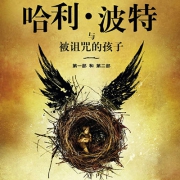第八个故事！《哈利·波特与被诅咒的孩子》中文版开箱