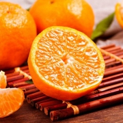 宜昌馆 犁楚清江芦柑2500g
