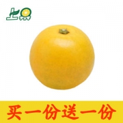 台湾东原柳丁橙 10斤