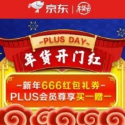 促销活动：京东商城 PLUS会员尊享年货日