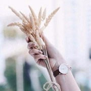 亚马逊海外购：Daniel Wellington 丹尼尔·惠灵顿 Classic Petite Sheffield女士时尚腕表DW00100171-DW00100176