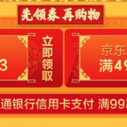 某东日百品类支付券