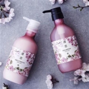 rinRen 凛恋 限定樱花香 无硅 洗发水护发素 500ml×2套装