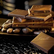 0税费，bug！Lindt 瑞士莲顶级90%可可黑巧克力100g*12块