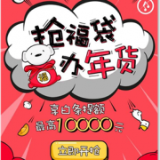 抢福袋 办年货