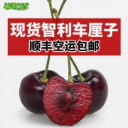 智利进口车厘子 大樱桃 2斤