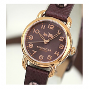 Coach 蔻驰 Delancey 系列 镀玫瑰金时装女表 14502409
