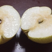 陕西 咸阳酥梨2.5kg单果约150g