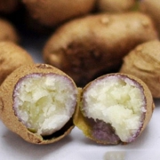 潍坊馆 铁棍山药豆1kg