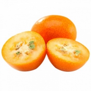 淅川 脆皮小金桔1250g