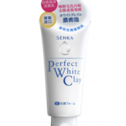SHISEIDO 资生堂 珊珂 绵润白泥泡沫洁面乳 120g *4件    99.6元（合24.9元/件）