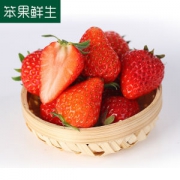 笨果鲜生 奶油草莓 新鲜现摘 3斤