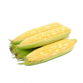 8c5291dbfa0ecb3854e667e21d439524-267x267.jpg
