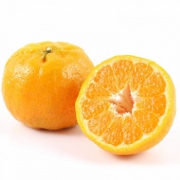 湘西馆 湖南湘西椪柑2.5kg