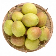 康乐欣 新疆库尔勒香梨1.25kg*2件