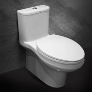 American Standard 美标 CP-1828/1829 喷射虹吸坐便器 +凑单品