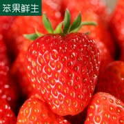 天猫商城：笨果鲜生 宿迁南蔡 现摘奶油草莓3斤