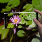 Samsung 三星 Galaxy Note 8 64G 智能手机 无锁版