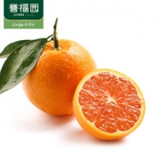 誉福园 秭归产 中华红血橙 5斤