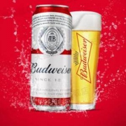 百威 经典醇正啤酒500ml*18罐
