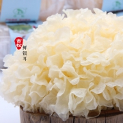 古松 新鲜银耳白木耳鲜活雪耳 6朵