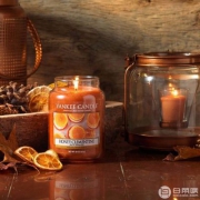 亚马逊海外购：Yankee Candle 扬基蜡烛 瓶装香薰无烟蜡烛 623g大瓶装 蜂蜜柑橘 Prime会员凑单免费直邮含税